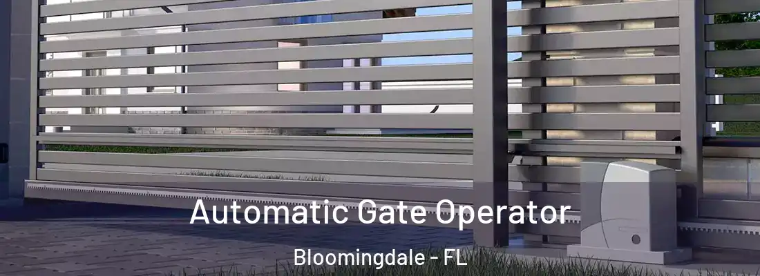 Automatic Gate Operator Bloomingdale - FL