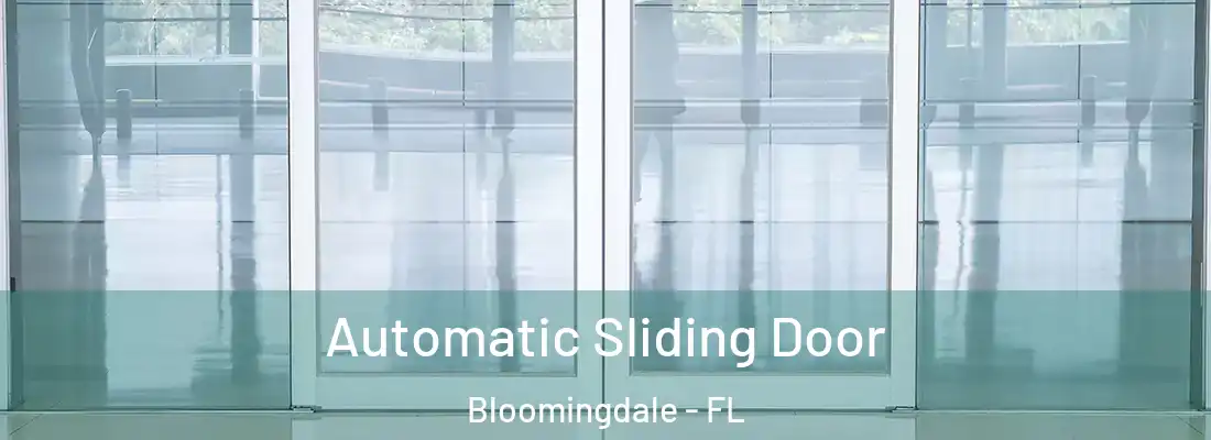  Automatic Sliding Door Bloomingdale - FL