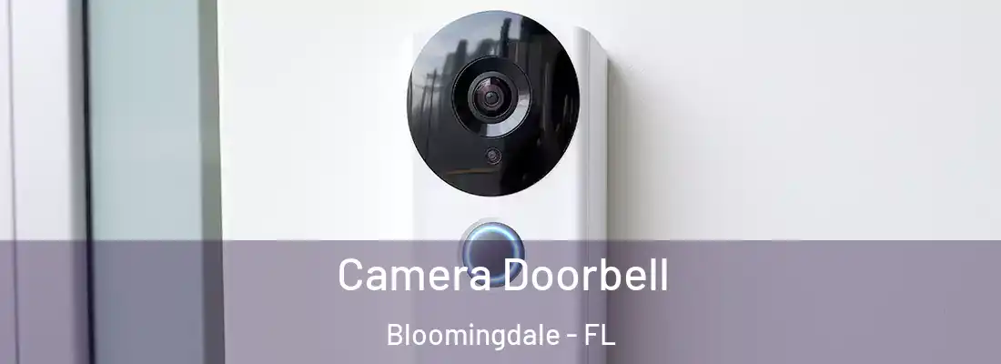  Camera Doorbell Bloomingdale - FL
