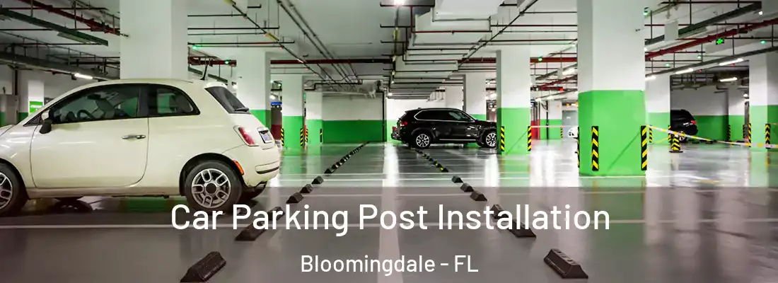  Car Parking Post Installation Bloomingdale - FL