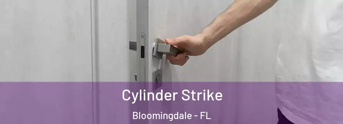  Cylinder Strike Bloomingdale - FL