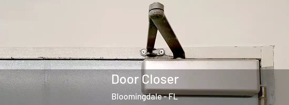  Door Closer Bloomingdale - FL