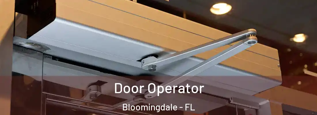  Door Operator Bloomingdale - FL