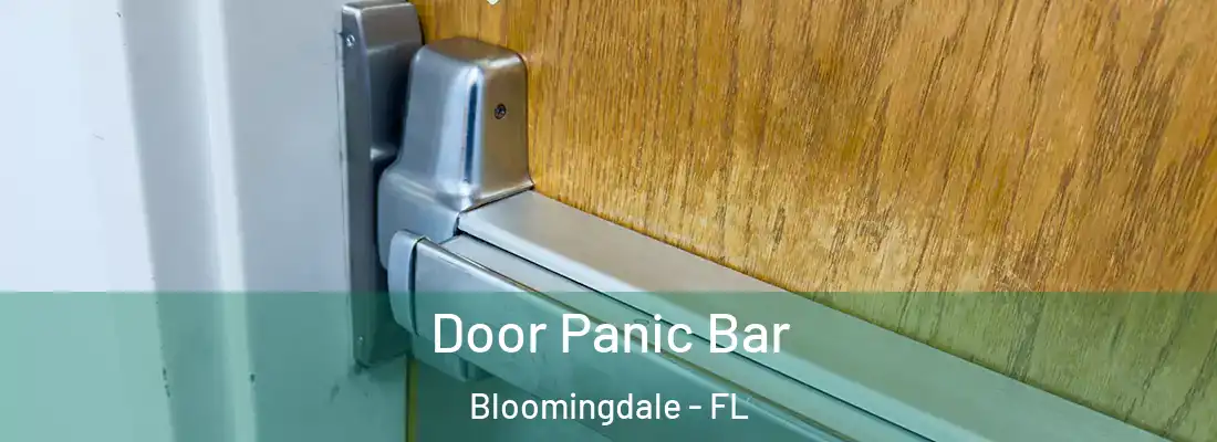  Door Panic Bar Bloomingdale - FL