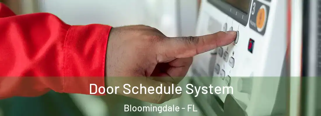  Door Schedule System Bloomingdale - FL