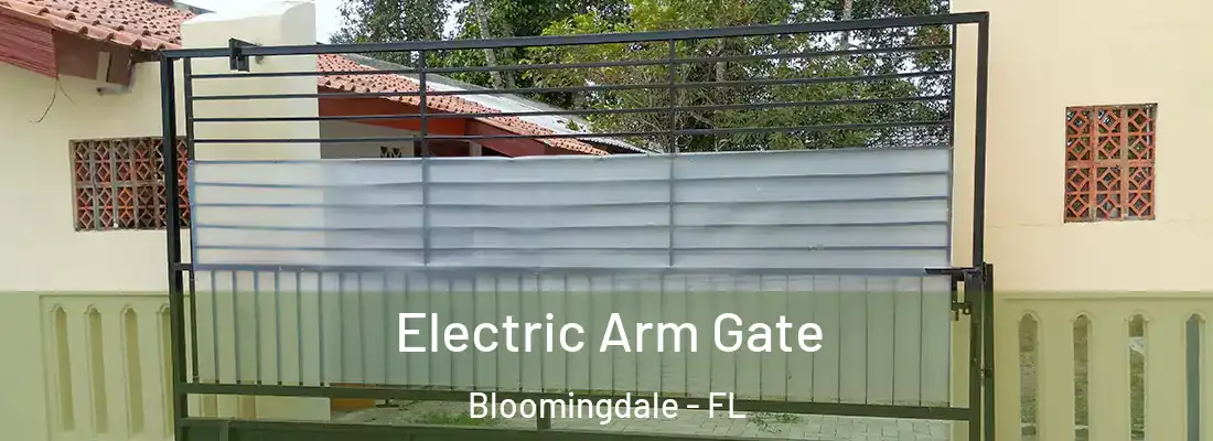  Electric Arm Gate Bloomingdale - FL