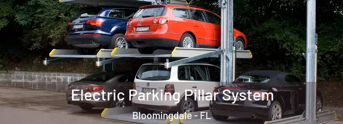  Electric Parking Pillar System Bloomingdale - FL