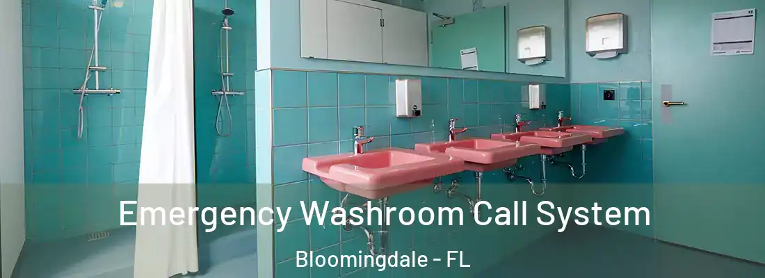  Emergency Washroom Call System Bloomingdale - FL
