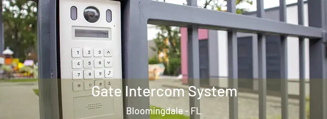  Gate Intercom System Bloomingdale - FL