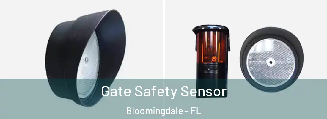  Gate Safety Sensor Bloomingdale - FL