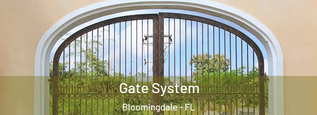  Gate System Bloomingdale - FL