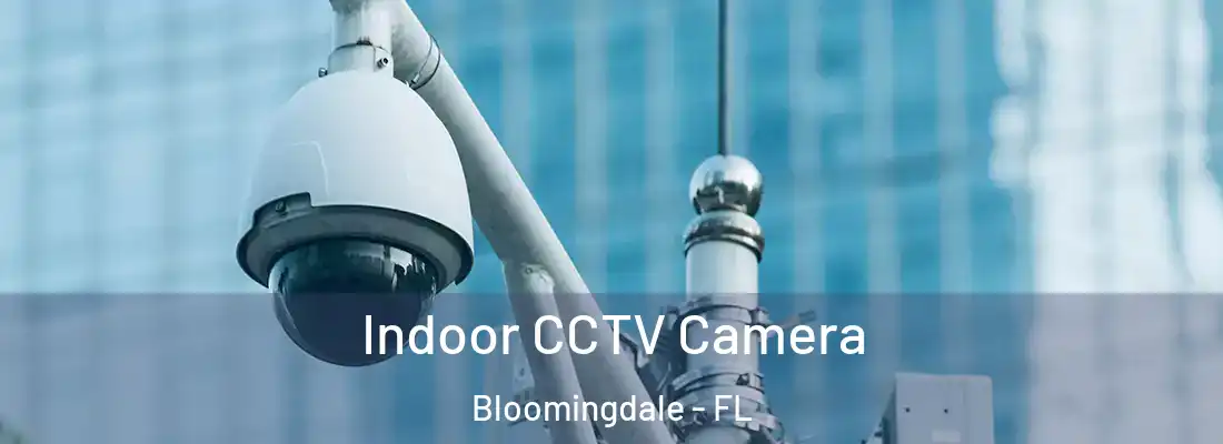  Indoor CCTV Camera Bloomingdale - FL