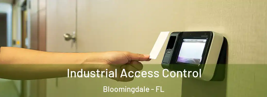  Industrial Access Control Bloomingdale - FL