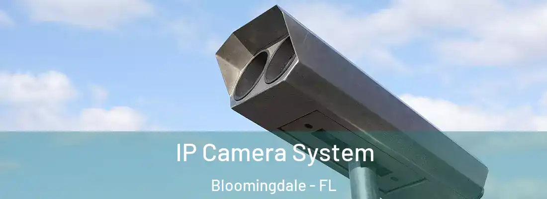  IP Camera System Bloomingdale - FL