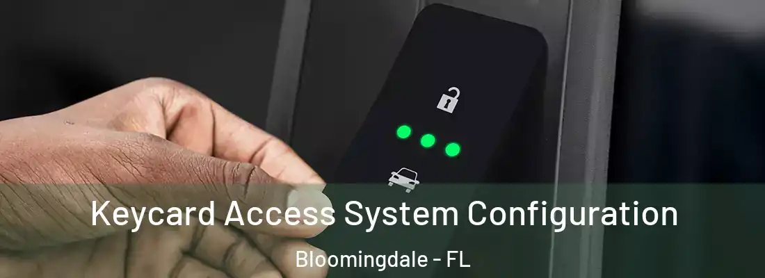  Keycard Access System Configuration Bloomingdale - FL