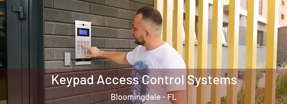  Keypad Access Control Systems Bloomingdale - FL