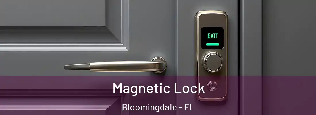  Magnetic Lock Bloomingdale - FL