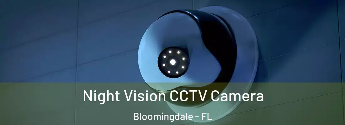  Night Vision CCTV Camera Bloomingdale - FL