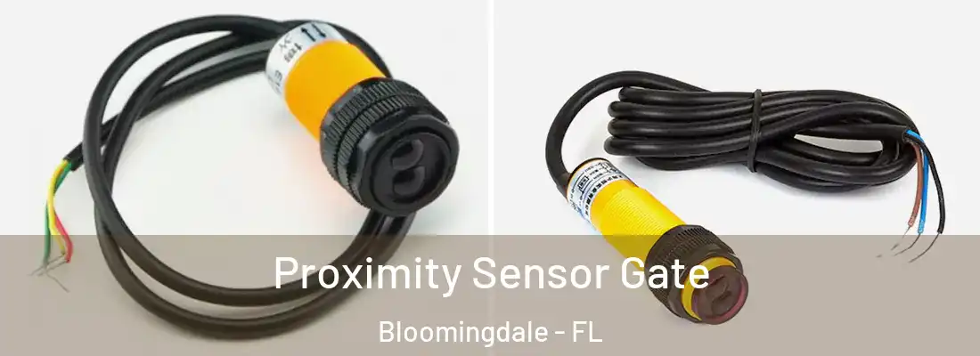  Proximity Sensor Gate Bloomingdale - FL