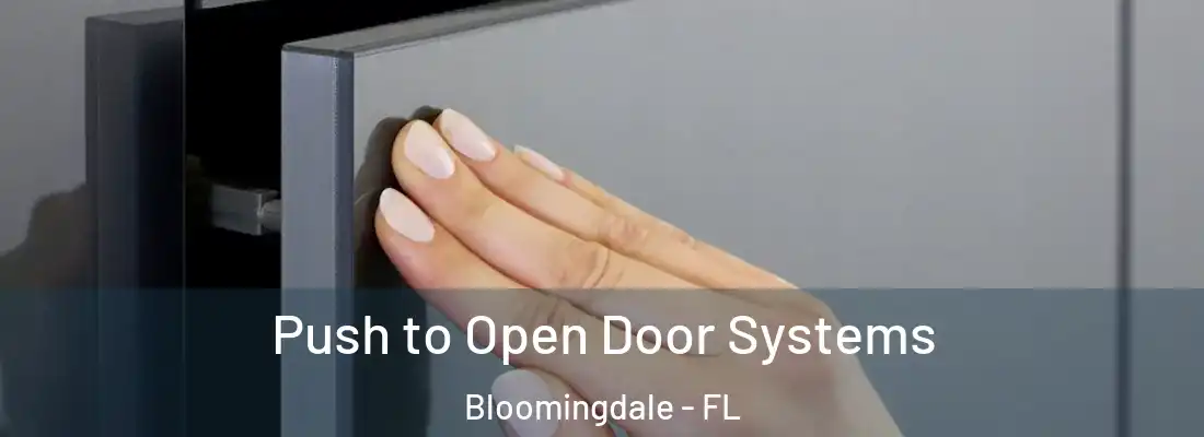  Push to Open Door Systems Bloomingdale - FL