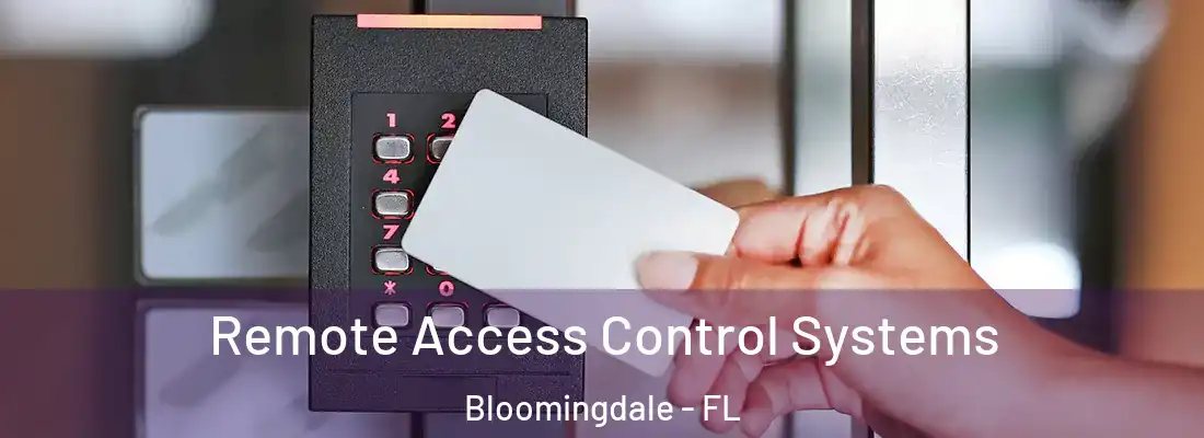  Remote Access Control Systems Bloomingdale - FL