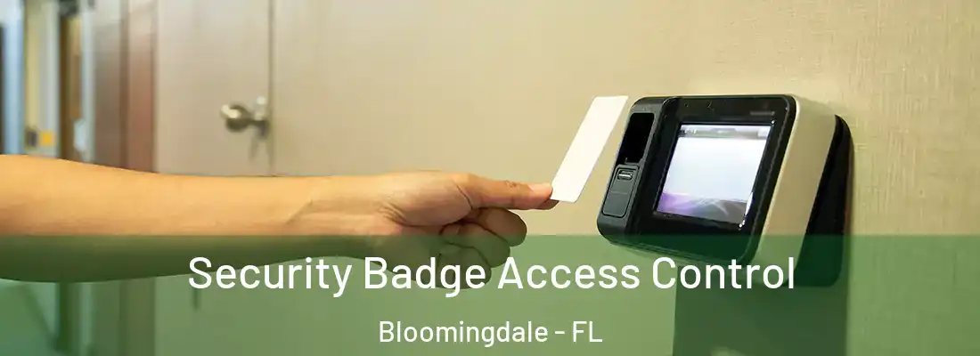  Security Badge Access Control Bloomingdale - FL