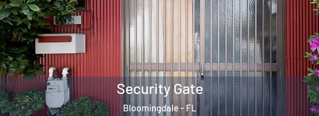  Security Gate Bloomingdale - FL