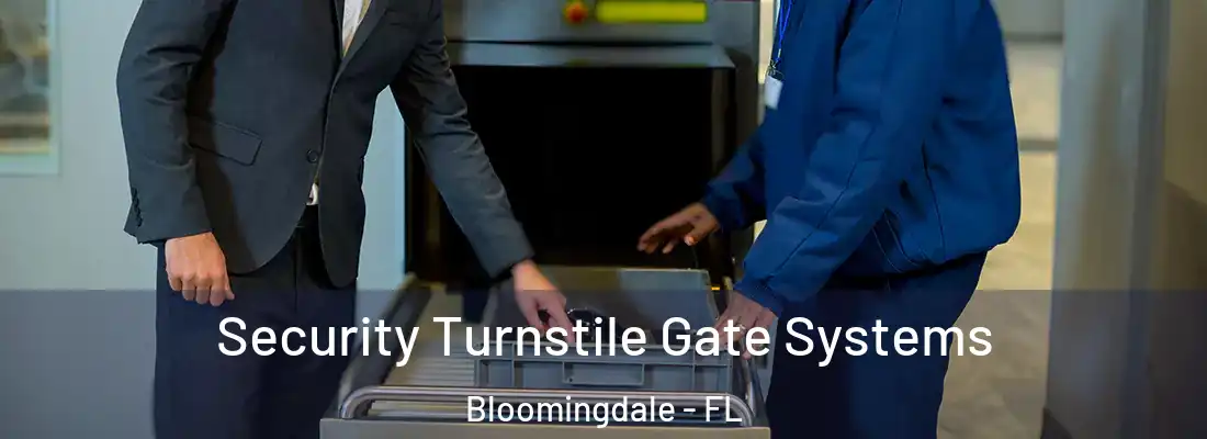  Security Turnstile Gate Systems Bloomingdale - FL