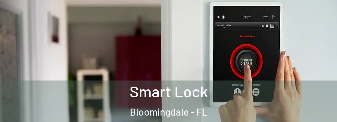  Smart Lock Bloomingdale - FL
