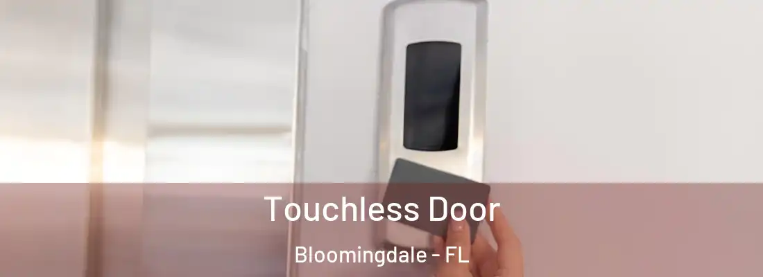  Touchless Door Bloomingdale - FL