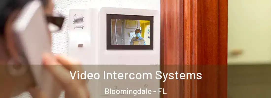  Video Intercom Systems Bloomingdale - FL
